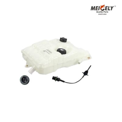 সর্বোত্তম শীতল 5010514340 RVI জন্য জল ট্যাংক শক্তিশালী তাপ প্রতিরোধী