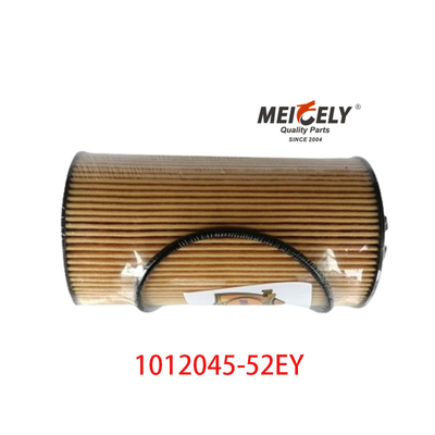 তেল ফিল্টার OEM 1012045-52EY FAW Dachai Deutz এর জন্য