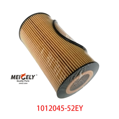 তেল ফিল্টার OEM 1012045-52EY FAW Dachai Deutz এর জন্য