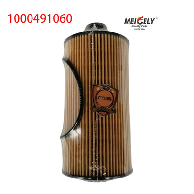 1000491060 FAW Jiefang J6PJH6 ট্রাক তেল ফিল্টার