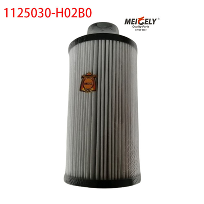 1125030-H02B0 ট্রাক পার্টস ফুয়েল ফিল্টার ডংফেং তিয়ানলং এর জন্য