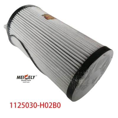 1125030-H02B0 ট্রাক পার্টস ফুয়েল ফিল্টার ডংফেং তিয়ানলং এর জন্য
