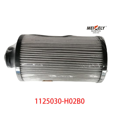 1125030-H02B0 ট্রাক পার্টস ফুয়েল ফিল্টার ডংফেং তিয়ানলং এর জন্য