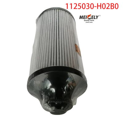 1125030-H02B0 ট্রাক পার্টস ফুয়েল ফিল্টার ডংফেং তিয়ানলং এর জন্য