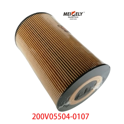 স্টক ডিজেল ইঞ্জিন 200V05504-0107 তেল ফিল্টার সিনোট্রুক সিট্রাক টি 7 এইচ
