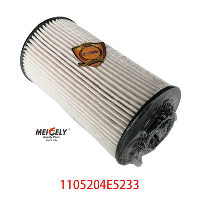 স্টক 1105204E5233 জ্বালানি ফিল্টার উপাদান JAC জিয়াংহাই জুনলিং জন্য