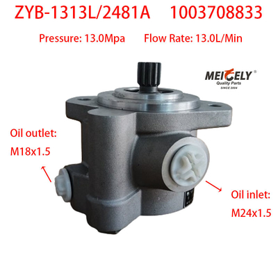 ইয়াংচাই ZYB-1313L/2481A পাওয়ার স্টিয়ারিং পাম্প 1003708833