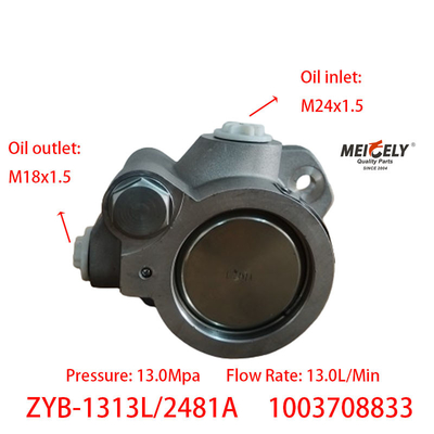 ইয়াংচাই ZYB-1313L/2481A পাওয়ার স্টিয়ারিং পাম্প 1003708833