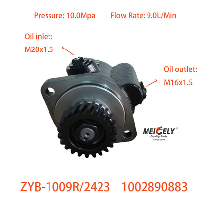 ZYB-1009R/2423 সার্ভার স্টিয়ারিং পাম্প 1002890883 ইয়াংচাইয়ের জন্য