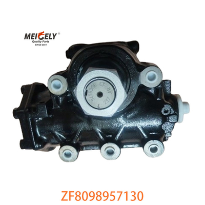 হাই পারফরম্যান্স OE ZF8098957130 সার্ভার স্টিয়ারিং গিয়ার