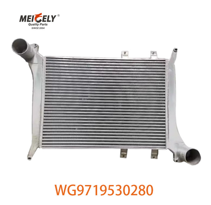 OEM WG9719530280 Howo ইন্টারকুলার সমাবেশের জন্য WG9719530281