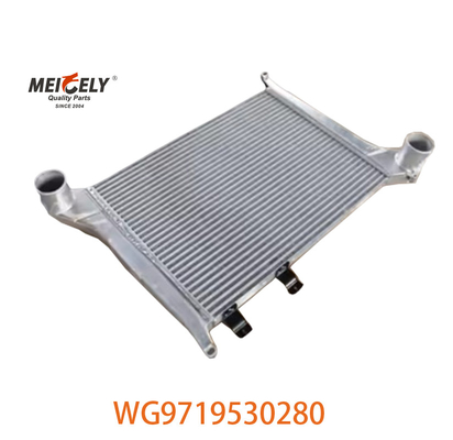 OEM WG9719530280 Howo ইন্টারকুলার সমাবেশের জন্য WG9719530281