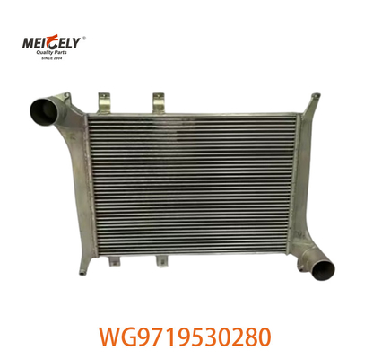 OEM WG9719530280 Howo ইন্টারকুলার সমাবেশের জন্য WG9719530281