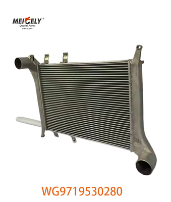 OEM WG9719530280 Howo ইন্টারকুলার সমাবেশের জন্য WG9719530281