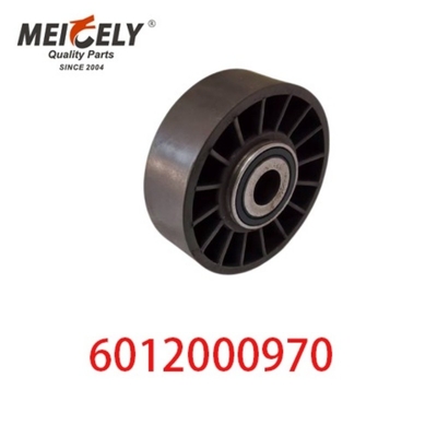 6012000970 9146139 অটো ইঞ্জিন পার্টস বেল্ট টেনশনার পলি মের্সেডস বেঞ্জের জন্য