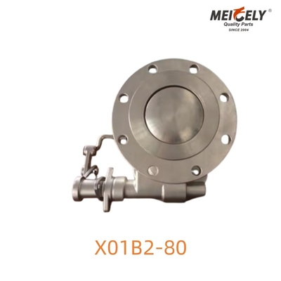 X01B2-80 ক্লিনফ্লো ফুট ভালভ ট্যাঙ্ক ট্রাক অপারেশন জন্য অতি স্বাস্থ্যকর সমাধান