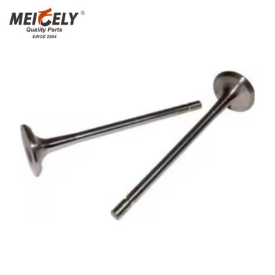 উচ্চ মানের ইঞ্জিন ভালভ C7.IN D6E.EX CI3.EX ইনটেক ভালভ ইঞ্জিনিয়ারিং মেশিনের জন্য এক্সজোস্ট ভালভ