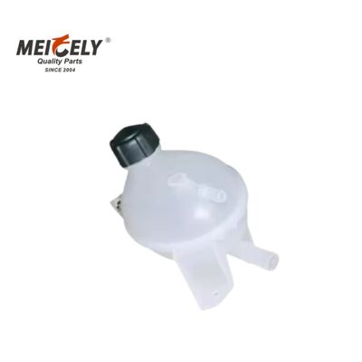 রেনো হেভি-ডুয়িং ট্রাকগুলির জন্য টেকসই 217104354R শীতল জল ট্যাঙ্ক