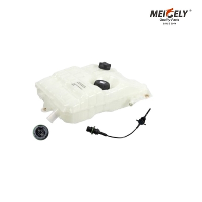 সর্বোত্তম কুলিং 5010514340 Renault Robust-এর জন্য জল ট্যাঙ্ক - তাপ প্রতিরোধী